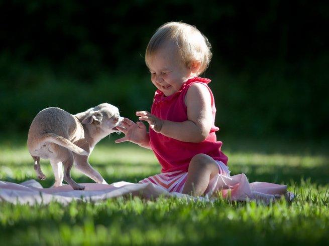 Девочка в один год сидит на траве и играется с собачкой