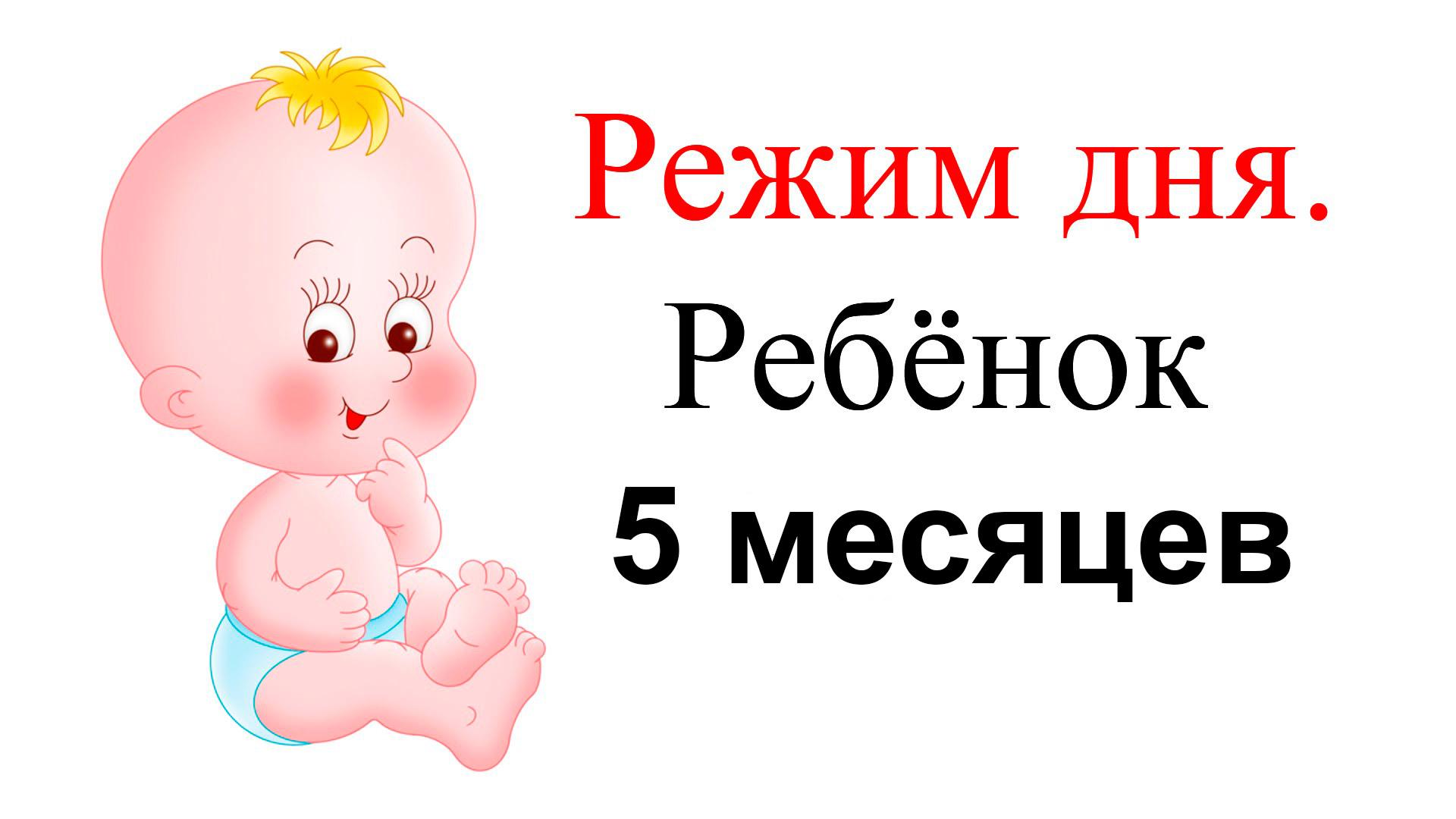 Ребенок на 5 месяце жизни развитие режим дня thumbnail