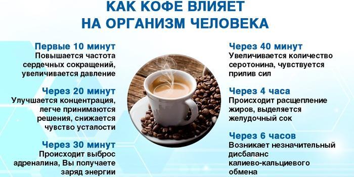 Воздействие кофе на взрослый организм