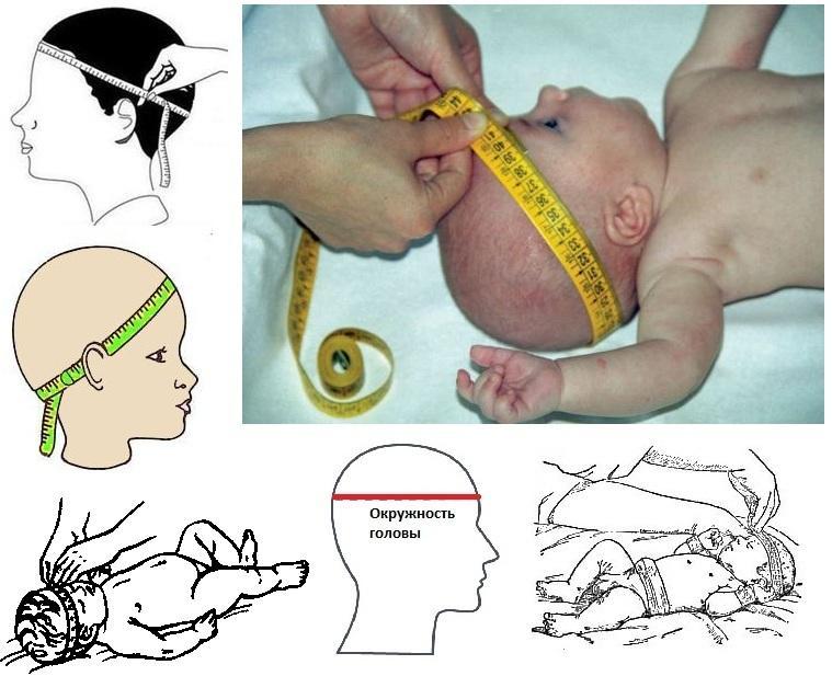 Таблица развитие ребенка рост головы thumbnail