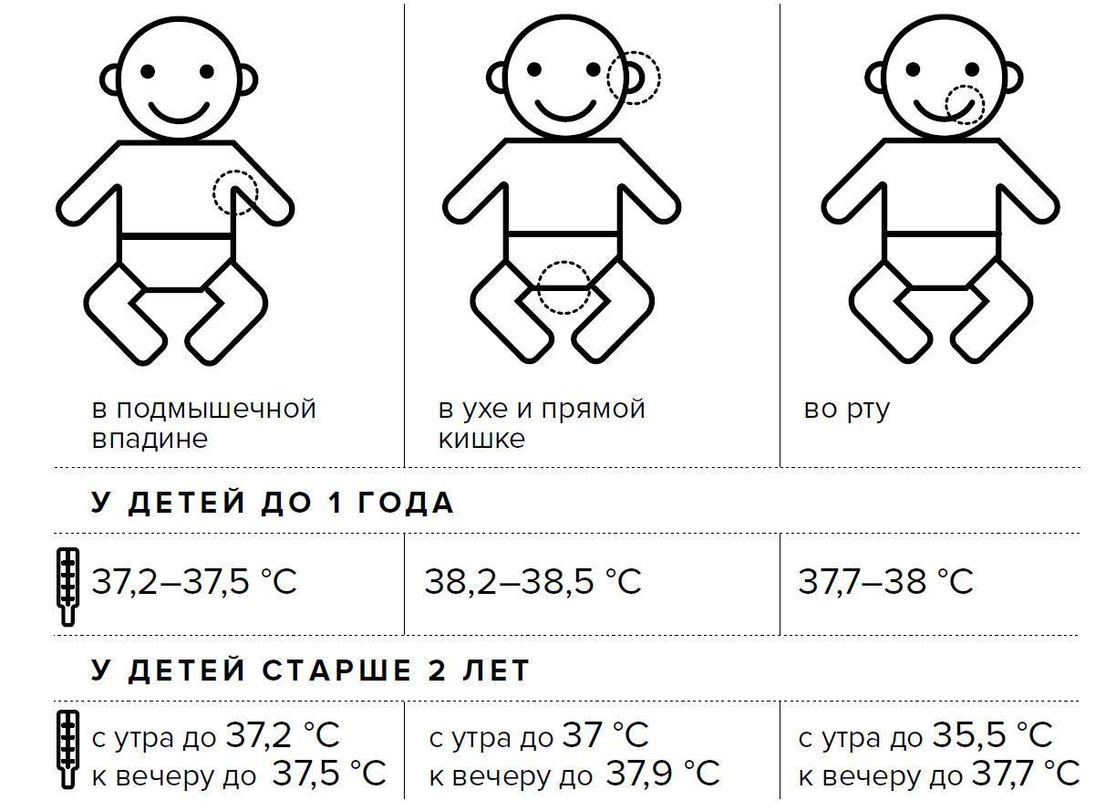 Какая должна быть нормальная температура тела у 4 месячного ребенка thumbnail