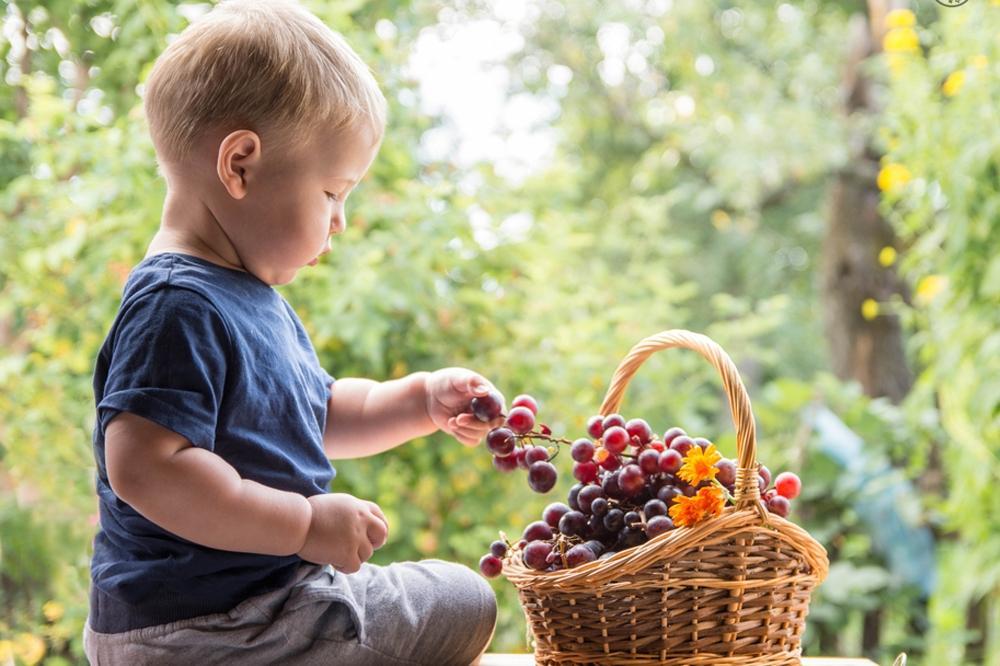 Мальчик и виноград