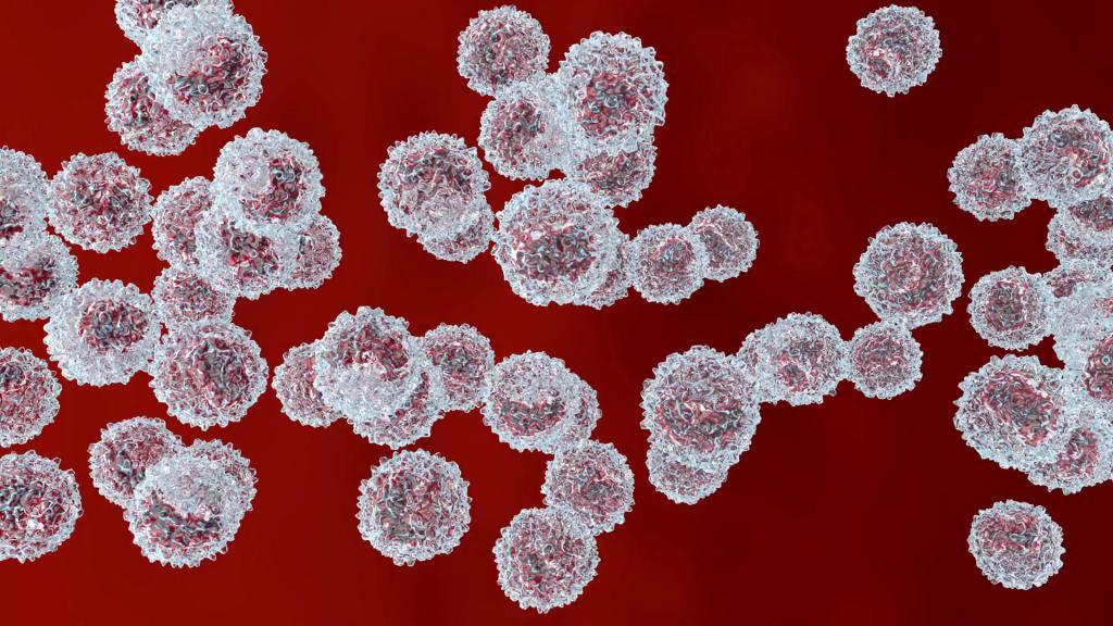 Из за чего может быть повышены лейкоциты в крови у ребенка 1 года thumbnail