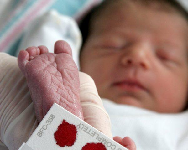 Пятка новорожденного и плашка с кровью