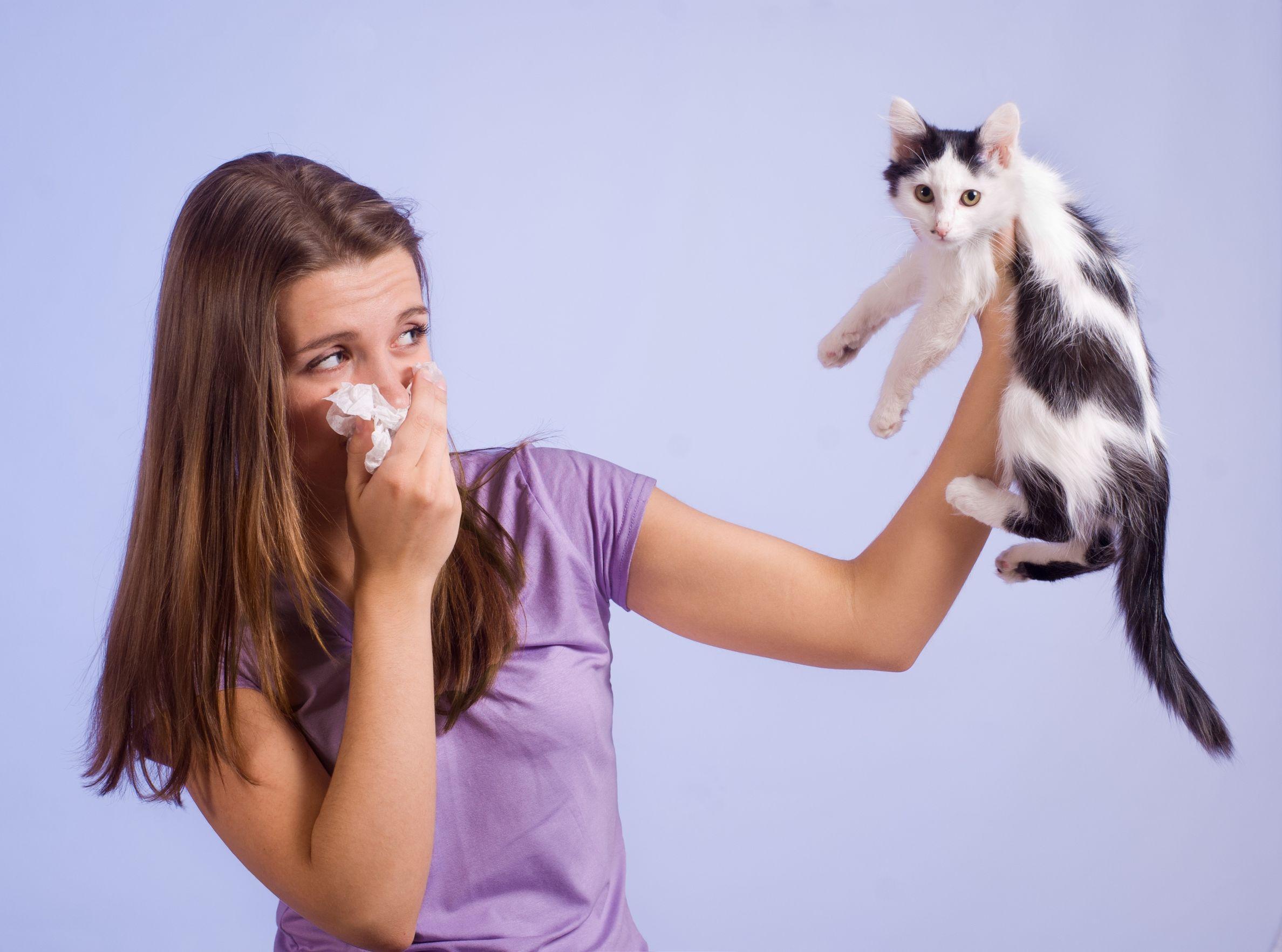 Может ли быть у новорожденного аллергия на кошек thumbnail